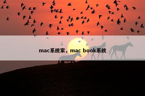 mac系统家，mac book系统