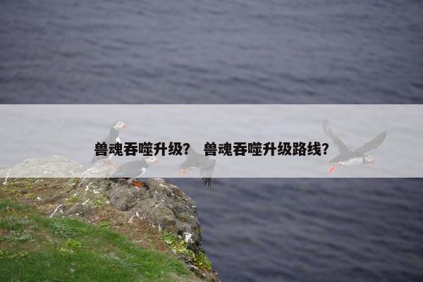兽魂吞噬升级？ 兽魂吞噬升级路线？