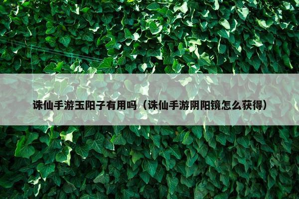 诛仙手游玉阳子有用吗（诛仙手游阴阳镜怎么获得）