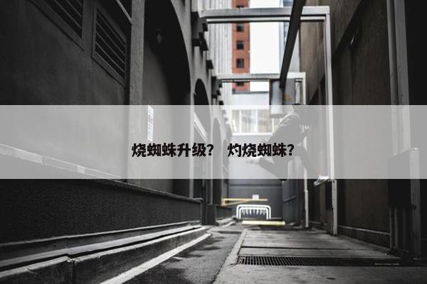 烧蜘蛛升级？ 灼烧蜘蛛？