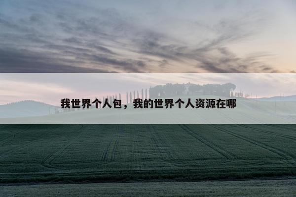 我世界个人包，我的世界个人资源在哪