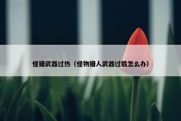 怪猎武器过热（怪物猎人武器过载怎么办）