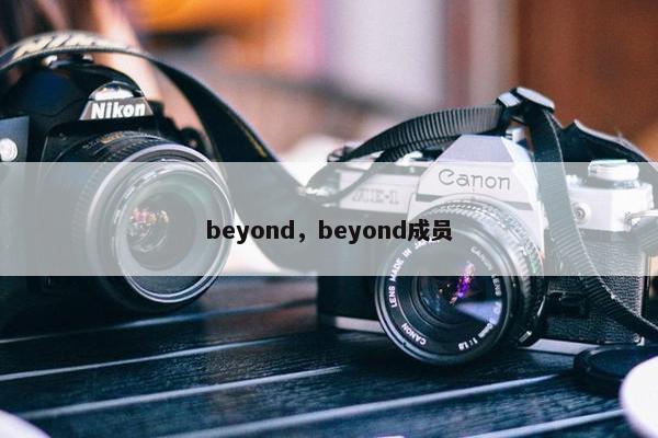 beyond，beyond成员