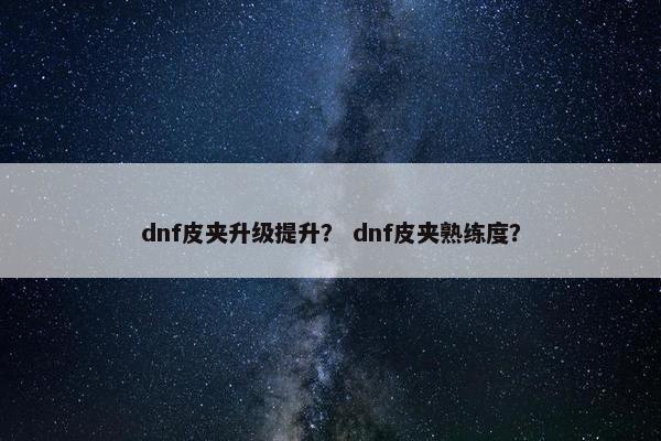 dnf皮夹升级提升？ dnf皮夹熟练度？