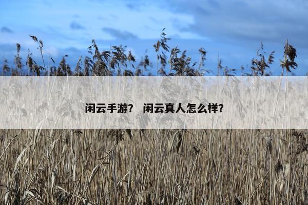 闲云手游？ 闲云真人怎么样？