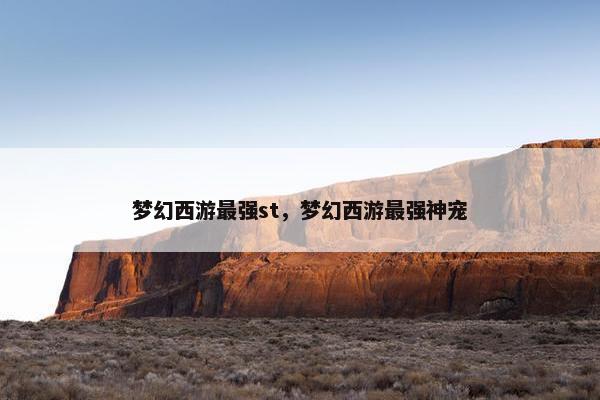 梦幻西游最强st，梦幻西游最强神宠