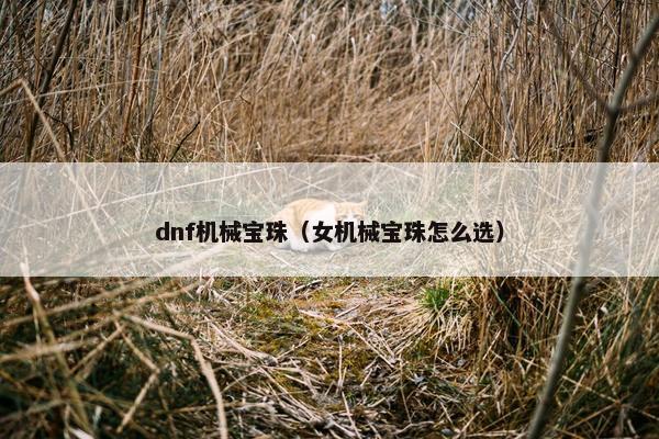dnf机械宝珠（女机械宝珠怎么选）