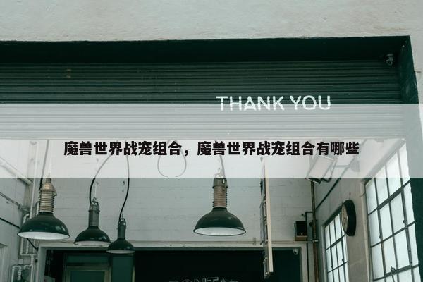 魔兽世界战宠组合，魔兽世界战宠组合有哪些