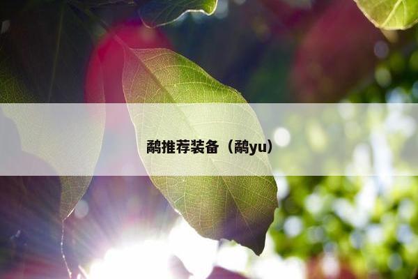 鹬推荐装备（鹬yu）