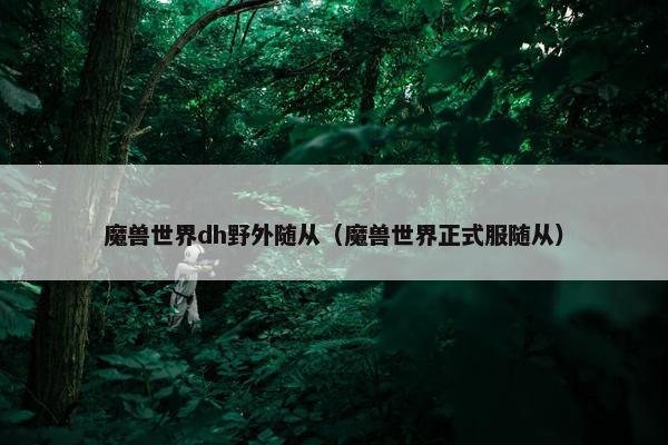 魔兽世界dh野外随从（魔兽世界正式服随从）