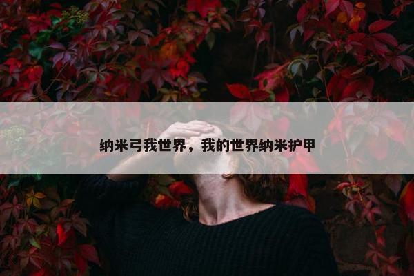 纳米弓我世界，我的世界纳米护甲