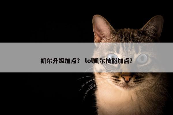 凯尔升级加点？ lol凯尔技能加点？