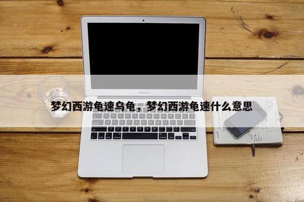 梦幻西游龟速乌龟，梦幻西游龟速什么意思