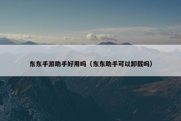 东东手游助手好用吗（东东助手可以卸载吗）