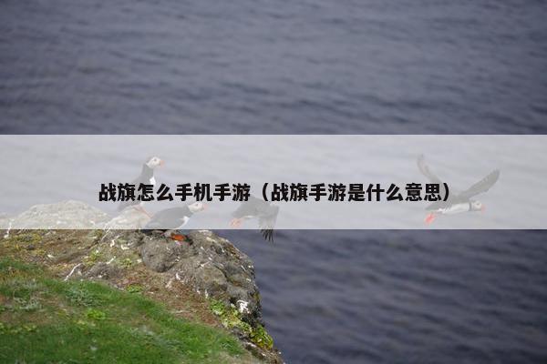 战旗怎么手机手游（战旗手游是什么意思）