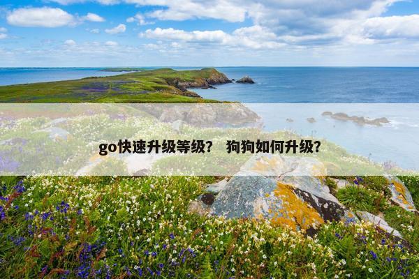 go快速升级等级？ 狗狗如何升级？