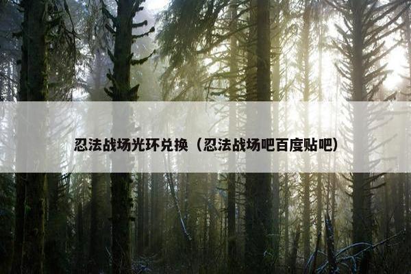 忍法战场光环兑换（忍法战场吧百度贴吧）