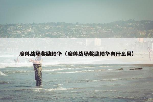 魔兽战场奖励精华（魔兽战场奖励精华有什么用）