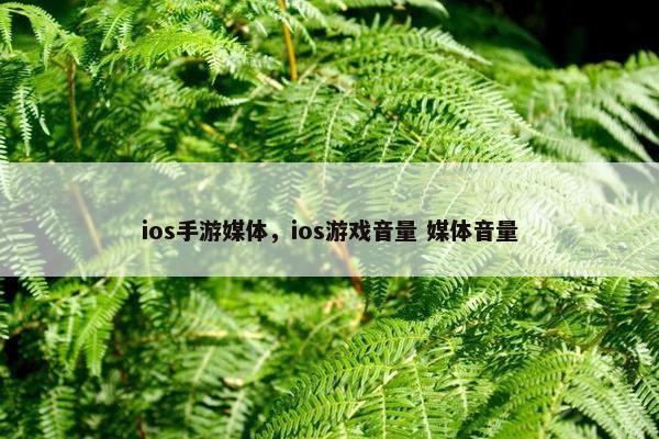 ios手游媒体，ios游戏音量 媒体音量