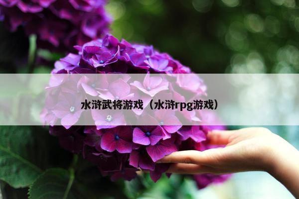 水浒武将游戏（水浒rpg游戏）