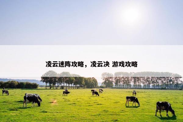 凌云迷阵攻略，凌云决 游戏攻略