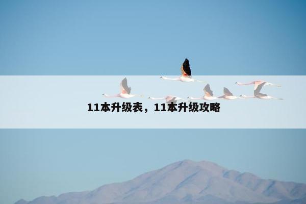 11本升级表，11本升级攻略