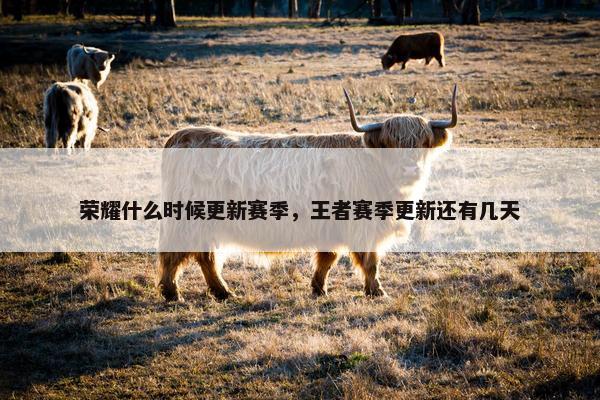 荣耀什么时候更新赛季，王者赛季更新还有几天