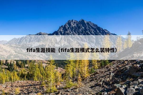 fifa生涯技能（fifa生涯模式怎么装特性）
