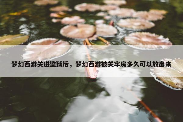 梦幻西游关进监狱后，梦幻西游被关牢房多久可以放出来