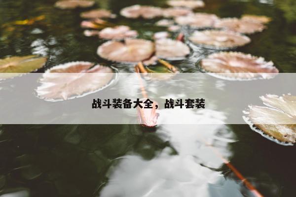 战斗装备大全，战斗套装