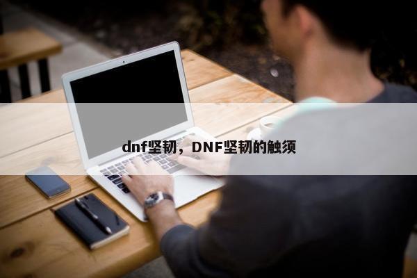 dnf坚韧，DNF坚韧的触须