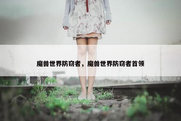 魔兽世界防窃者，魔兽世界防窃者首领