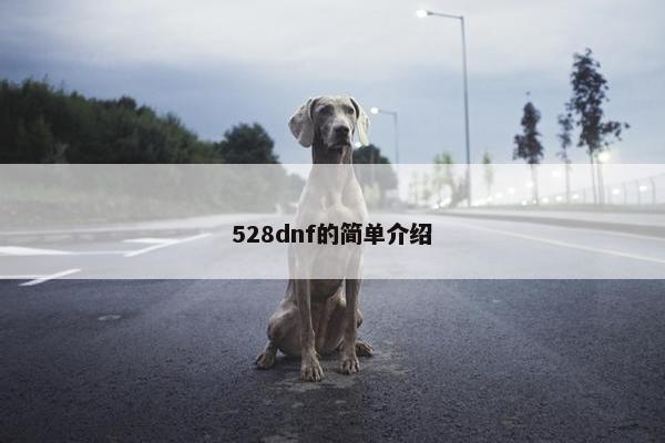 528dnf的简单介绍