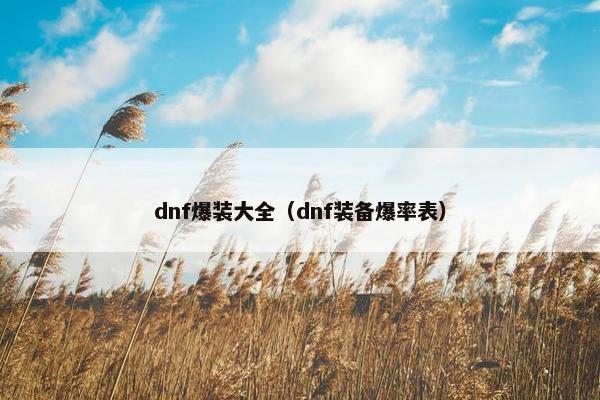 dnf爆装大全（dnf装备爆率表）