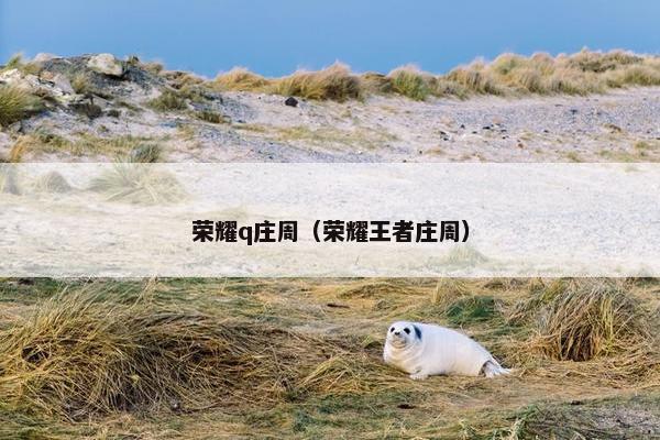 荣耀q庄周（荣耀王者庄周）