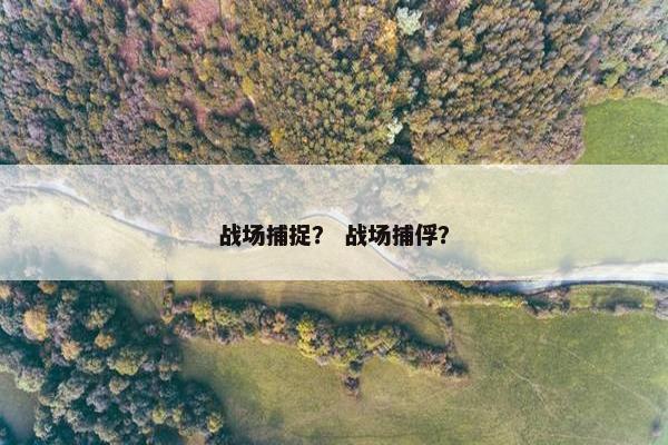 战场捕捉？ 战场捕俘？