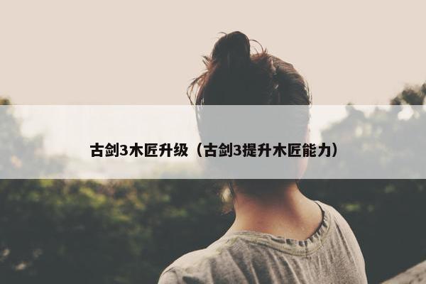 古剑3木匠升级（古剑3提升木匠能力）