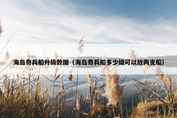 海岛奇兵船升级数据（海岛奇兵船多少级可以放两支船）