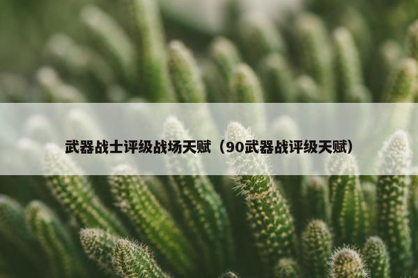 武器战士评级战场天赋（90武器战评级天赋）