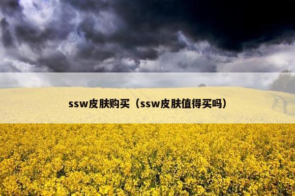 ssw皮肤购买（ssw皮肤值得买吗）