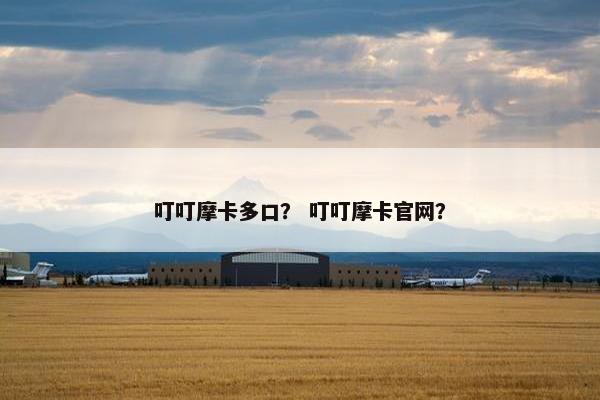 叮叮摩卡多口？ 叮叮摩卡官网？