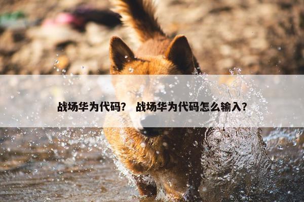 战场华为代码？ 战场华为代码怎么输入？