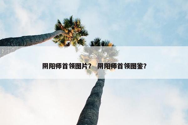 阴阳师首领图片？ 阴阳师首领图鉴？