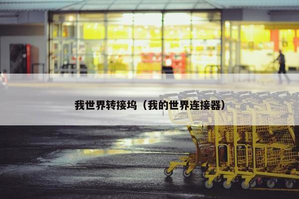 我世界转接坞（我的世界连接器）