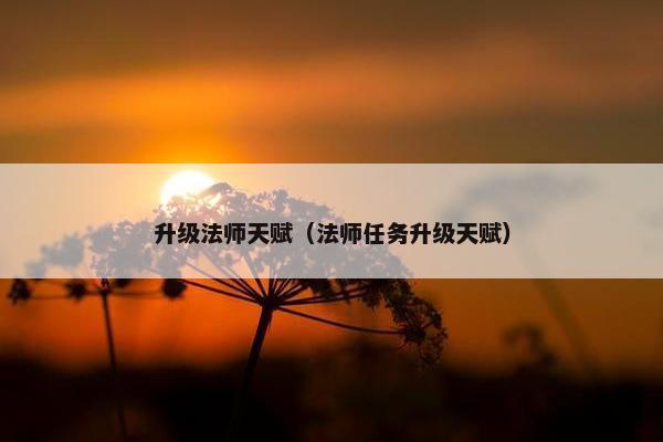 升级法师天赋（法师任务升级天赋）