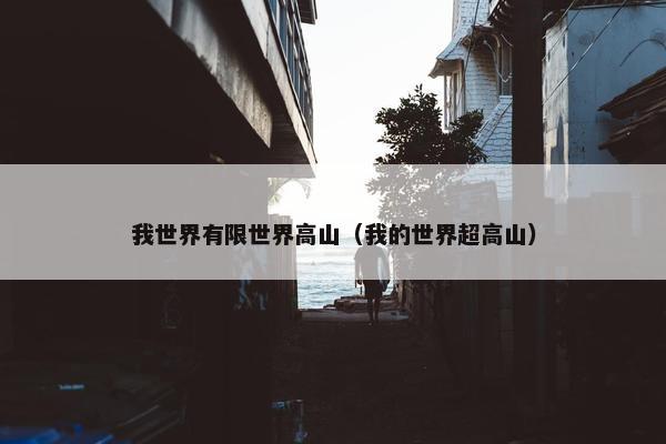 我世界有限世界高山（我的世界超高山）