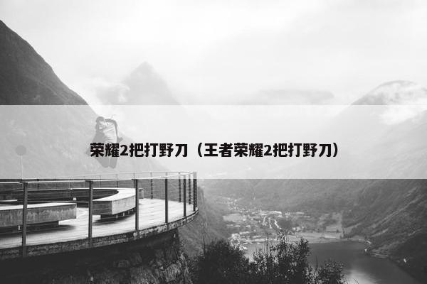 荣耀2把打野刀（王者荣耀2把打野刀）