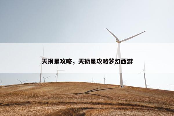 天损星攻略，天损星攻略梦幻西游