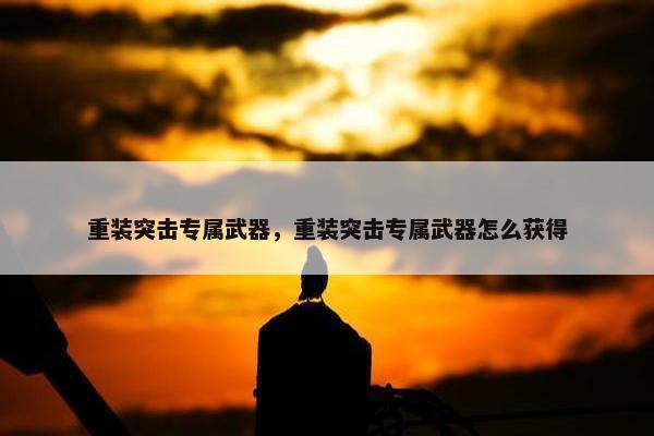 重装突击专属武器，重装突击专属武器怎么获得