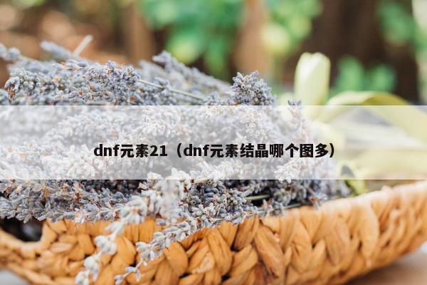 dnf元素21（dnf元素结晶哪个图多）